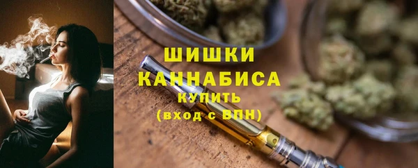 стаф Осташков