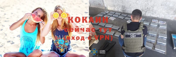 молекула духа Алзамай