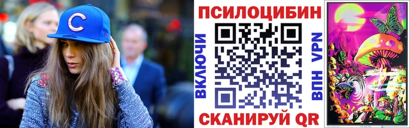 Псилоцибиновые грибы мицелий  хочу наркоту  Сясьстрой 